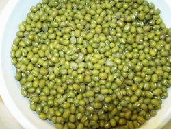 Mung Beans One Pound